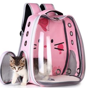 cbcd01ea d99b 4bf5 9975 a1e4bc50a194.jpg