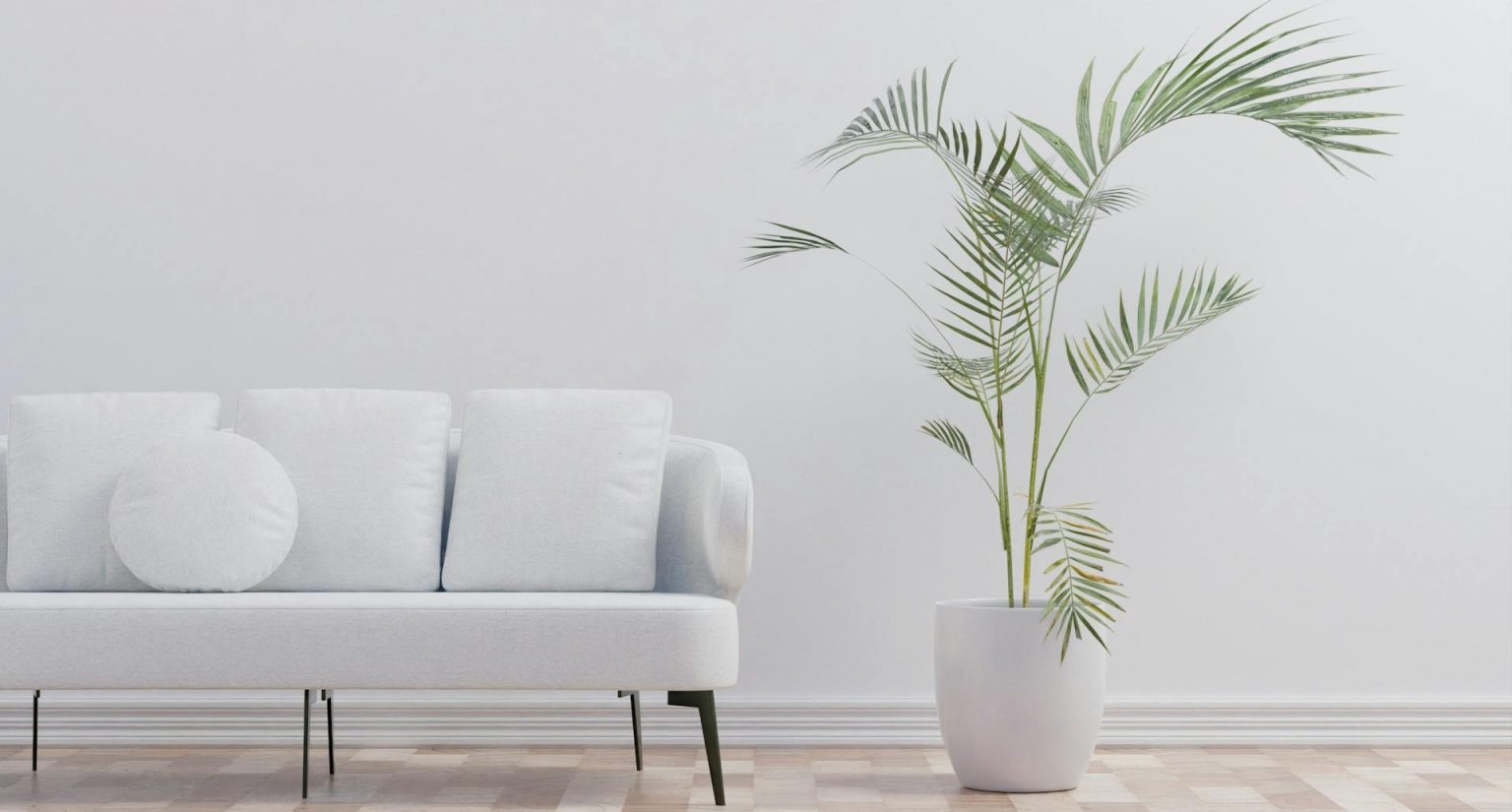 pexels dada design 240566386 12277414 edit 12800228119920