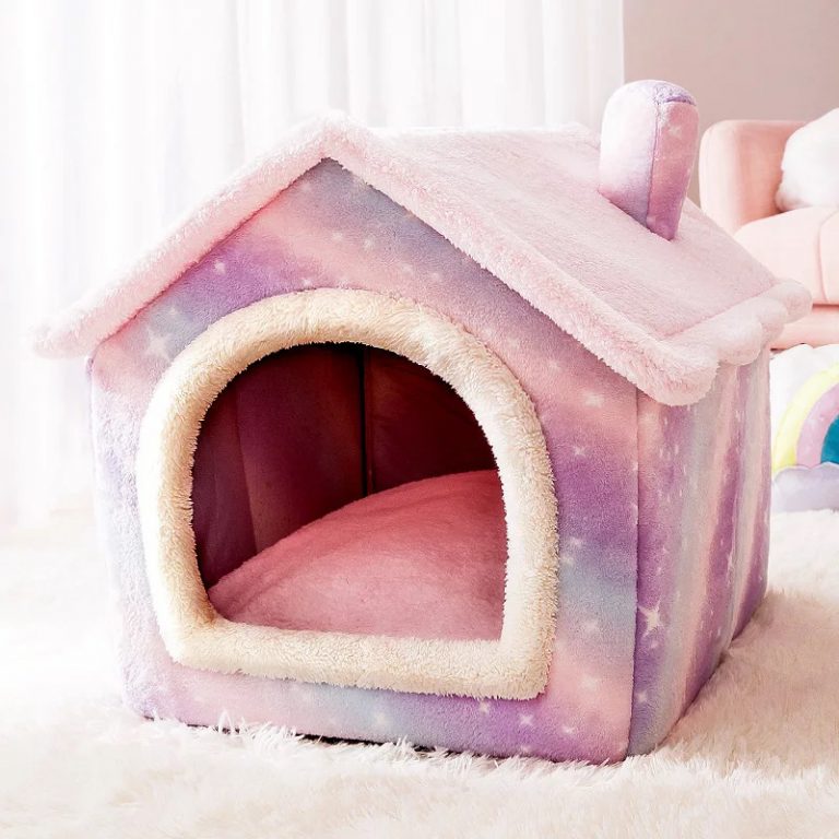pet bed and house